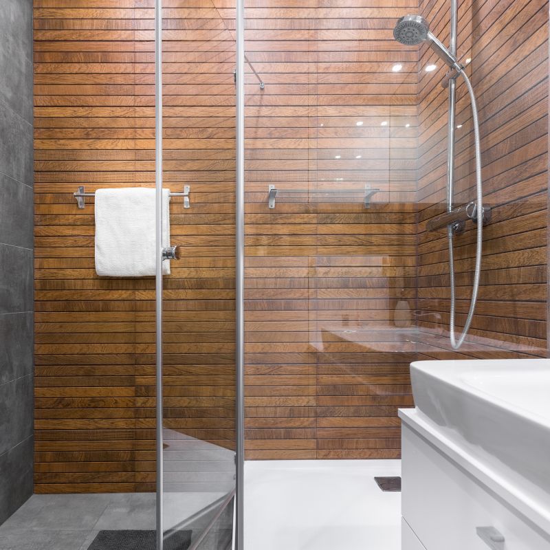 Contemporary Shower Interior